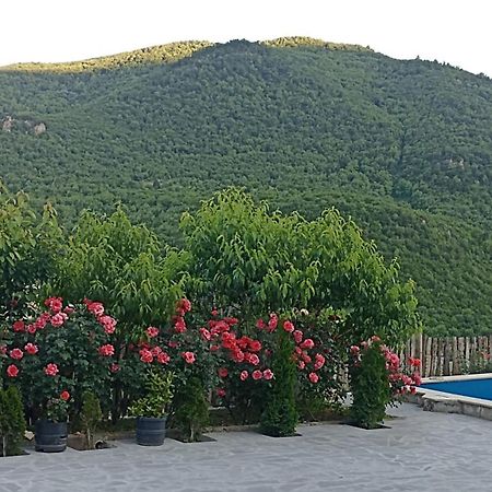 Green garden Կանաչ այգի Idzjevan Buitenkant foto