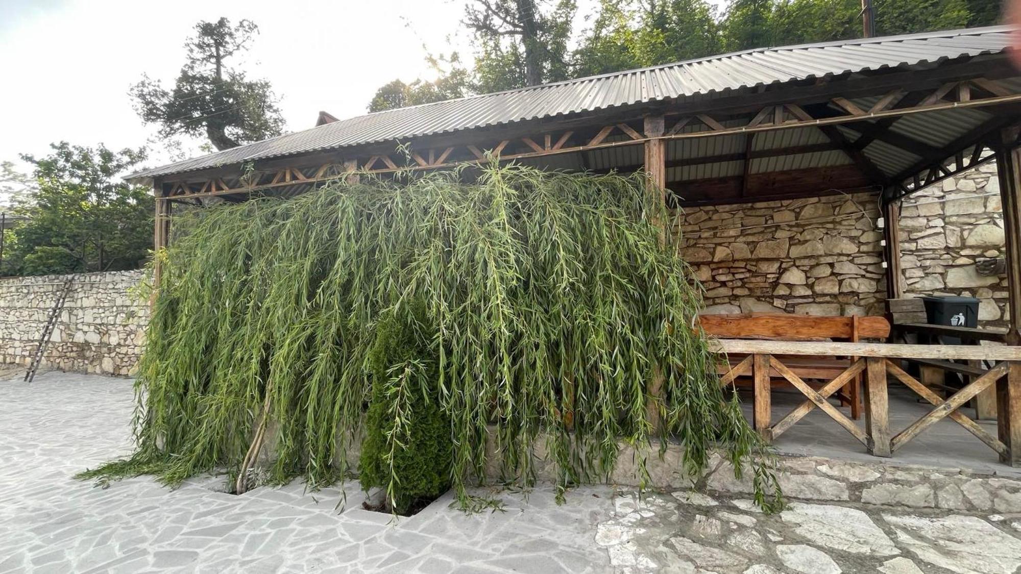 Green garden Կանաչ այգի Idzjevan Buitenkant foto