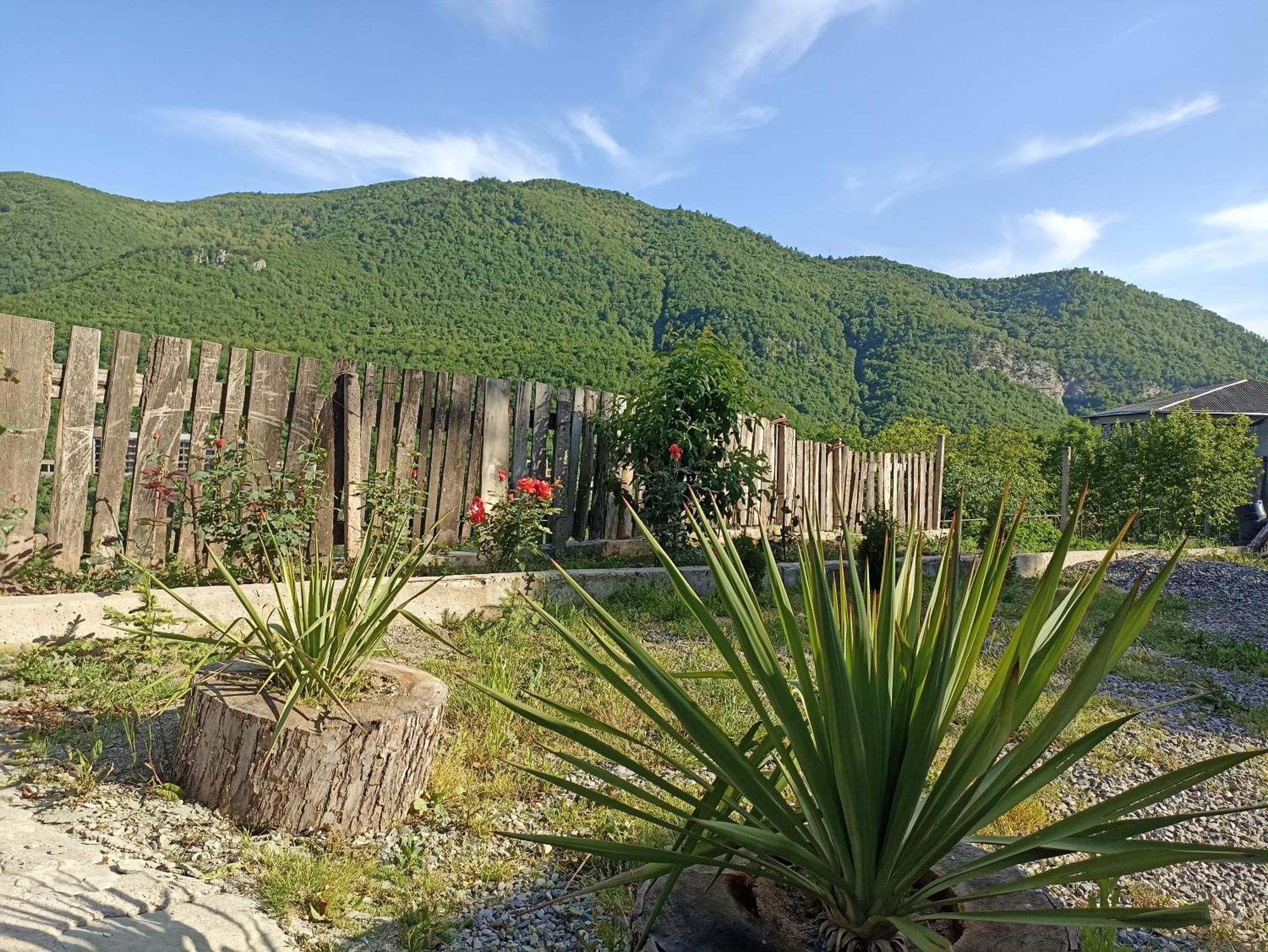 Green garden Կանաչ այգի Idzjevan Buitenkant foto
