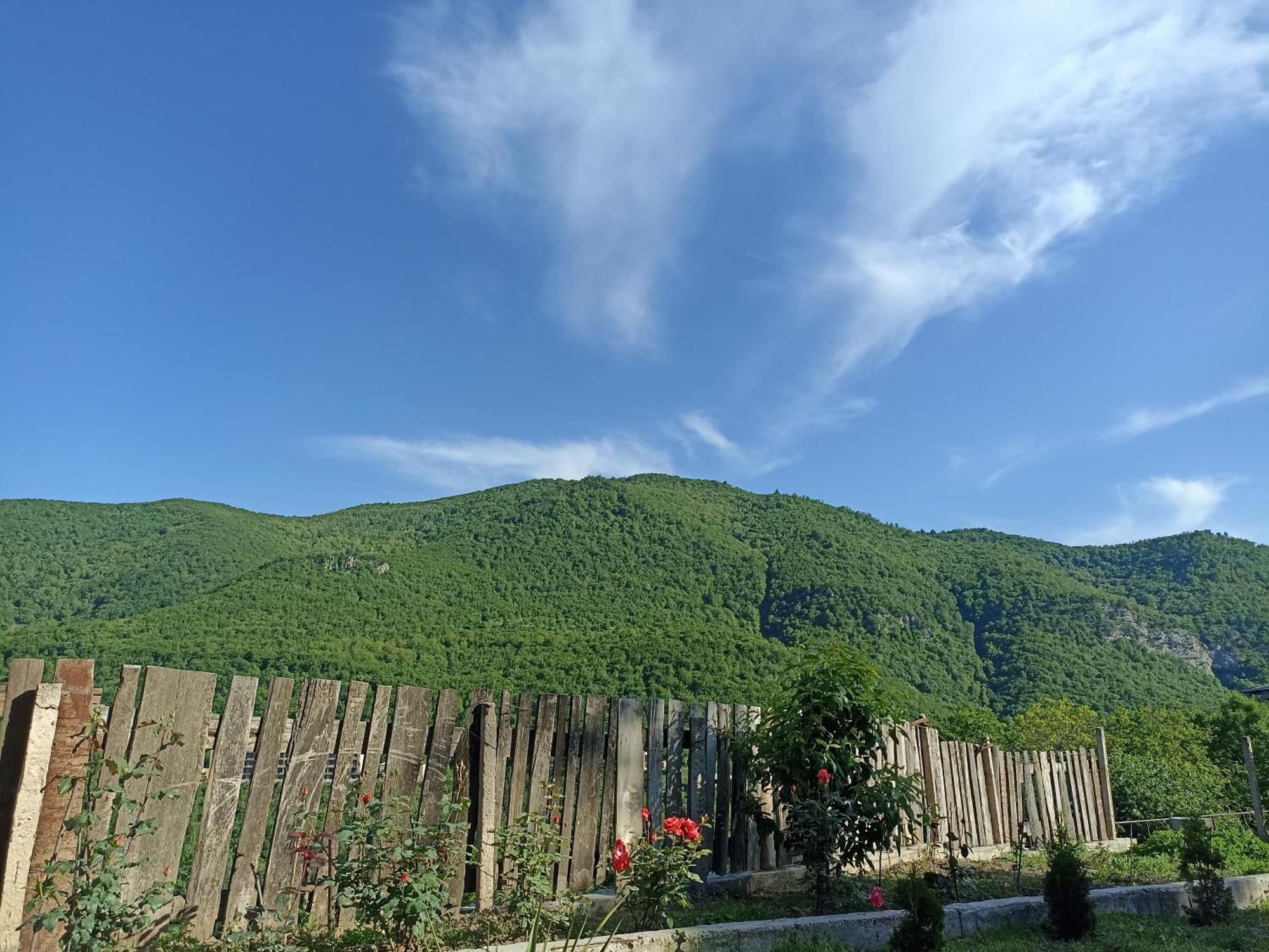 Green garden Կանաչ այգի Idzjevan Buitenkant foto