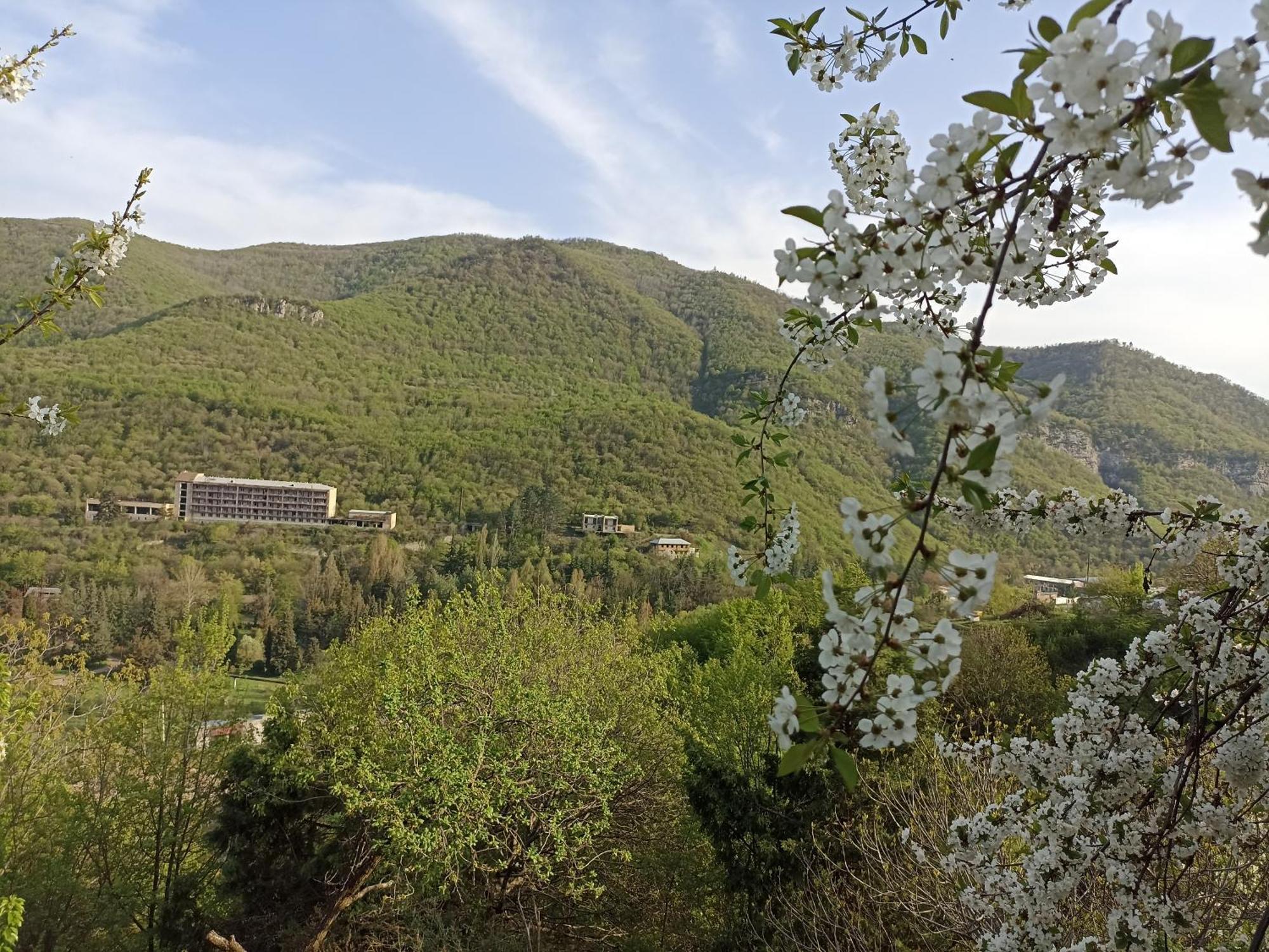 Green garden Կանաչ այգի Idzjevan Kamer foto